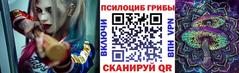 где продают   Спас-Деменск  Галлюциногенные грибы мухоморы 